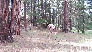 Naked gathering wood.